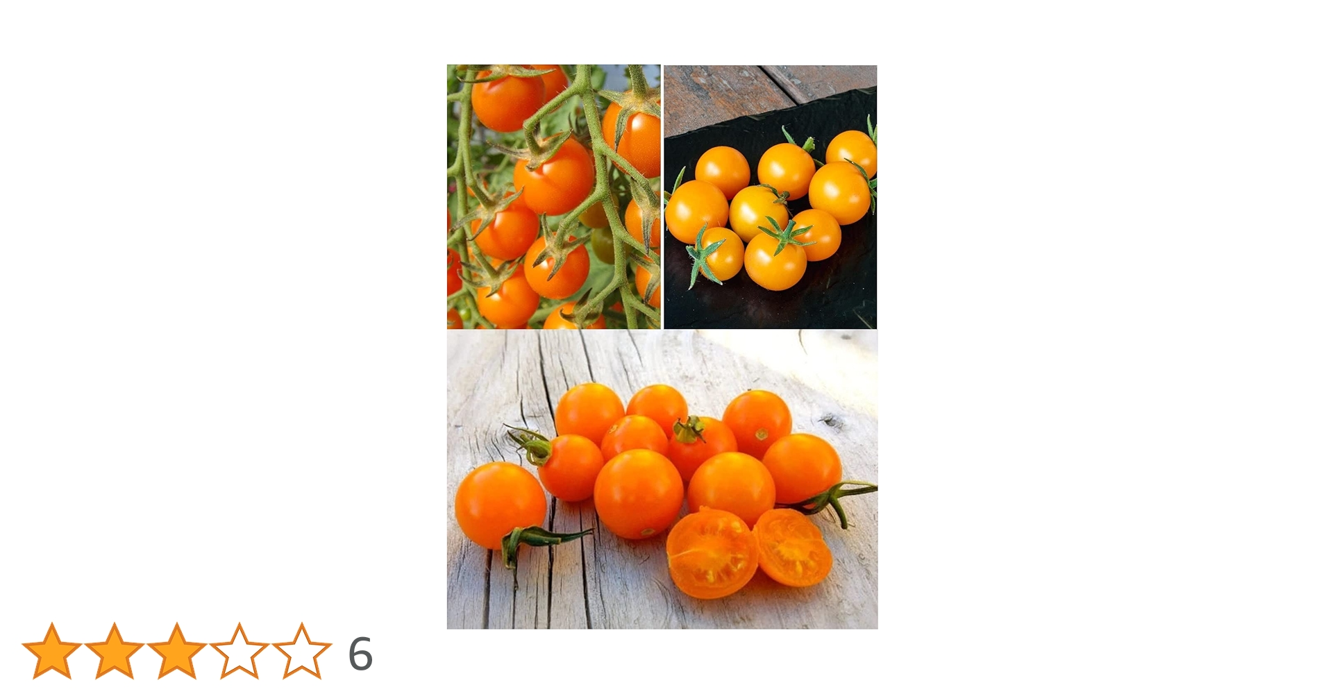 ロッド Summer tomato Mandarin Cross' Japanese Slicing Tomato – Renee's Garden
